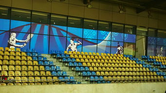 -澳大利亚队未来如何利用青训体系打造新一代乒乓巨星，澳大利亚乒乓球